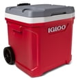 thumbnail image 4 of IGLOO Latitude 60 Qt Roller Cooler, Red, 4 of 8