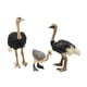 thumbnail image 5 of 3 Piezas Figuras de Modelos de Aves y Animales Conjunto de Modelos de Aves Silvestres Coleccionables Adorno Educativo Estatua de Aves Silvestres para, 5 of 9