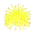 thumbnail image 5 of Simulación de erizos de mar Coral Fish Tank Adornos de paisajismo Artesanías de coral elásticas Adorno de acuario (amarillo), 5 of 5