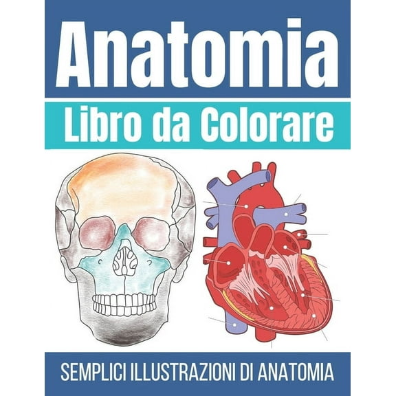 Libro da Colorare Anatomia: Illustrazioni di Anatomia Semplice (Paperback)