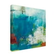 thumbnail image 2 of Trademark Fine Art 'Hey Day III' Canvas Art by Sue Jachimiec, 2 of 4