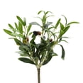 thumbnail image 4 of Mainstays 18"H Artificial Olive Plant in 3.3"H Terra Cotta Planter, 4 of 6