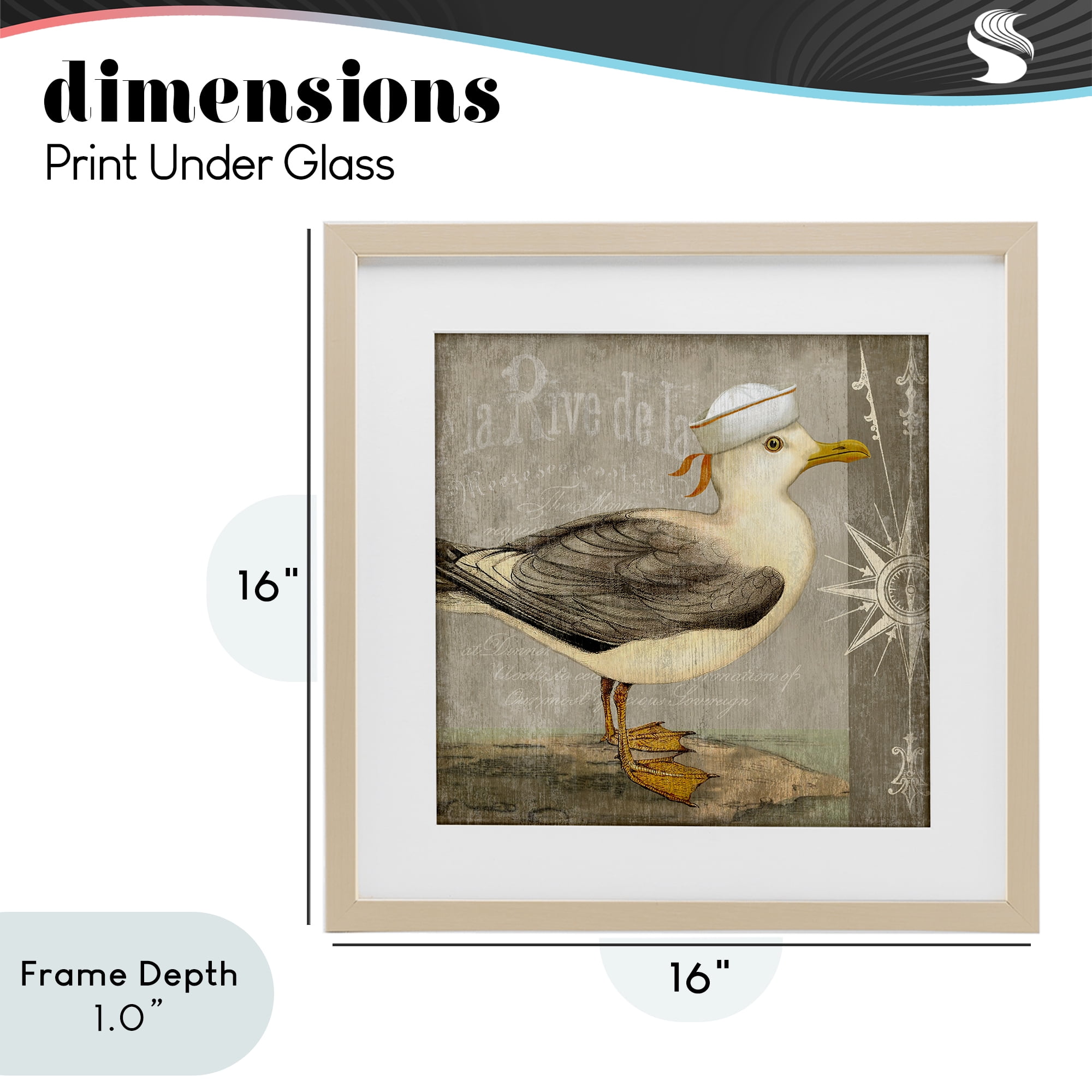 Stupell Industries Rustic Little Seagull Birch Framed Print Under Glass, design by Suzanne Nicoll