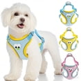thumbnail image 2 of Escape-Proof Pet Chest Harness & Leash Combination - Vest-Style, Adjustable Sizes, Anti-Escape Design, Secure Fit - For Small/Medium/Large Pets With Chest Girth 14-16 Inch, 16-18, 2 of 4