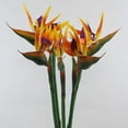 thumbnail image 4 of Cheers.US Artificial Flower Bird of Paradise Artificial Flowers Strelitzia Stems for Home Office Decoration, 4 of 7