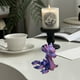 thumbnail image 5 of Printed Mini Sea Dragons Decoration Home Decor Table Furnishings, 5 of 5