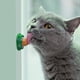 thumbnail image 4 of Túnel para Gatos Diversión Interactiva Juguete Accesorios () Verde, 4 of 4