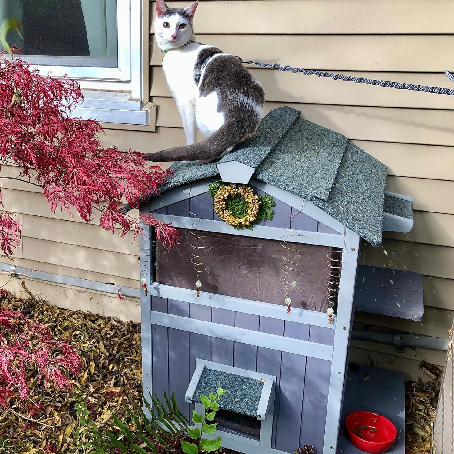 Aivituvin Outdoor Cat House Weatherproof Feral Cat Shelter with Escape Doors - 2-Story