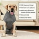 thumbnail image 5 of Traje de recuperación postoperatoria para perros, hembra y macho, con pañales quirúrgicos, E Cone Alt, 5 of 5