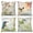 Color-1, variant on Spring Floral Birds Pillow Cover 16x16 Inch,Set of 4 Farmhouse Cushion Cases for Couch Sofa Bed Home Decor