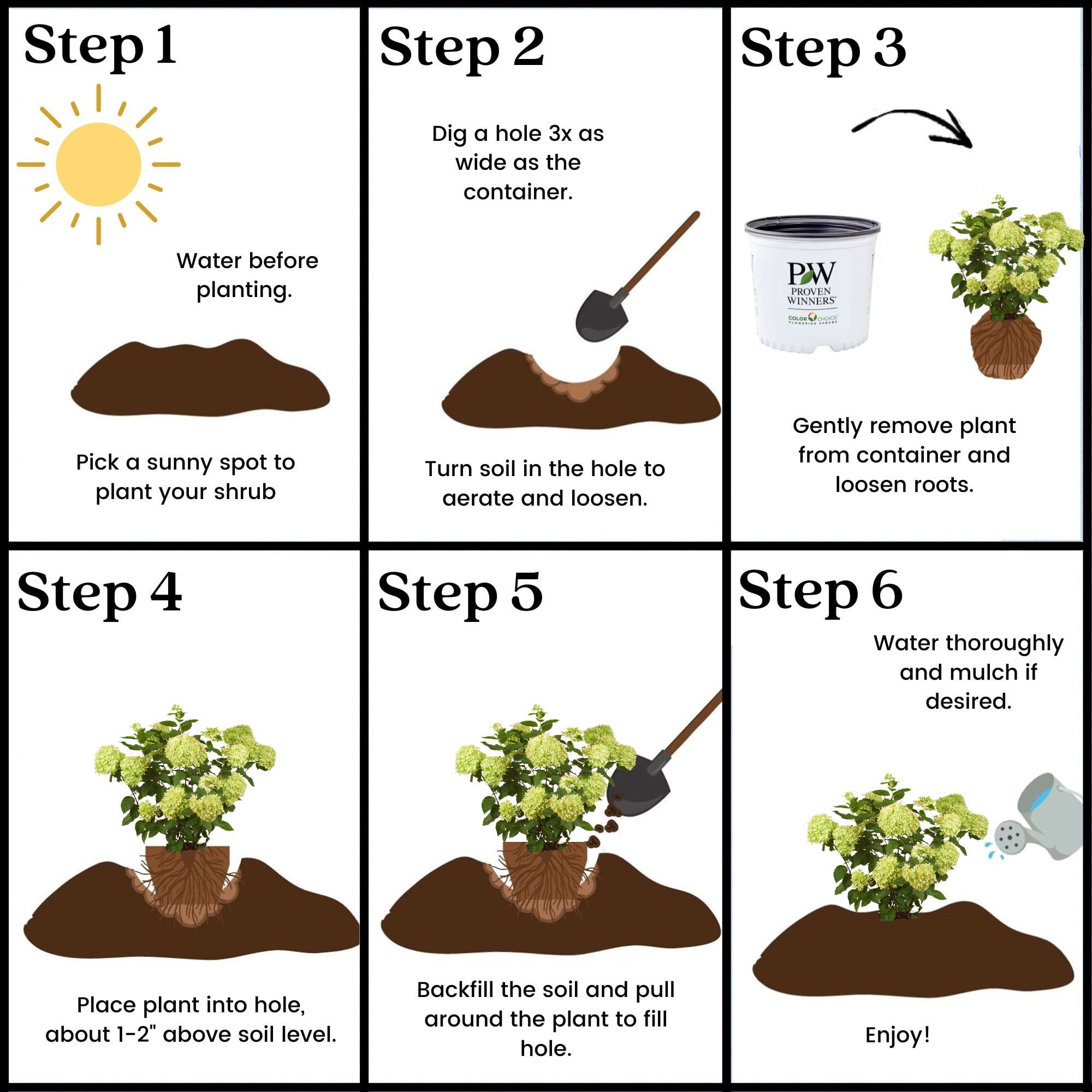 Proven Winners ColorChoice Little Lime Hydrangea Live Shrub (2 Gallon)