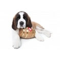 thumbnail image 2 of Saint Bernard Puppy with Wall Decal by Wallmonkeys Peel and Stick Graphic (48 in W x 32 in H) WM171913, 2 of 4