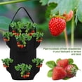 thumbnail image 4 of 2pcs Tissu Non Tissé Fraise Grandir Sac Extérieur Suspendu Fraise Planteur Sac, 4 of 7