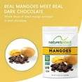 Nature's Intent Dark Chocolate Covered Dried Mango, 3.5 oz