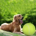 thumbnail image 4 of Juguetes Navideños para Mascotas XWSHYW Tenis de 24Cm Chewtoy Suministros Inflables, 4 of 5