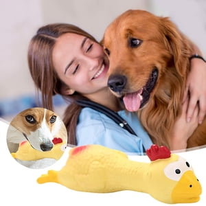 SIfdSeng Dog Toys Latex Toys Small and Large Pet Vocal Toys Miserable Chicken Spoof Toys Pet Vocal Chew Toys Puppy Chew Toys for Teething Puzzle Toys for Dogs Small Dog Chew Toys