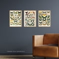 thumbnail image 2 of Insects Butterflies Papillons Vintage Millot Set Of 3 Unframed Wall Art Prints Study Office Aesthetic Illustrations 12X16 Inch, 2 of 5