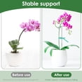 thumbnail image 3 of Stem Support Stakes Rustproof Iron Flower Support Stakes with Clips Decorative Garden Support Rings Multifunctional Support Sticks for Flowers Vegetables Potted Vegetation, 3 of 11