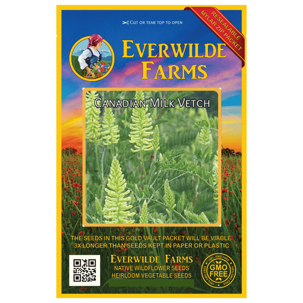 Everwilde Farms 1000 Canadian Milk Vetch Native Wildflower Seeds Gold Vault Jumbo Bulk Seed