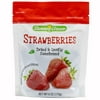 Sunnie Grove Strawberry Dried & Gently Sweetened Bag, 6oz (170g). Plant Based. Sulfite Free. Non GMO. Gluten Free.