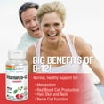 thumbnail image 4 of Solaray Vitamin B-12 1000mcg Lozenges with Folic Acid | Natural Cherry Flavor | Healthy Energy Support | 90CT, 4 of 7