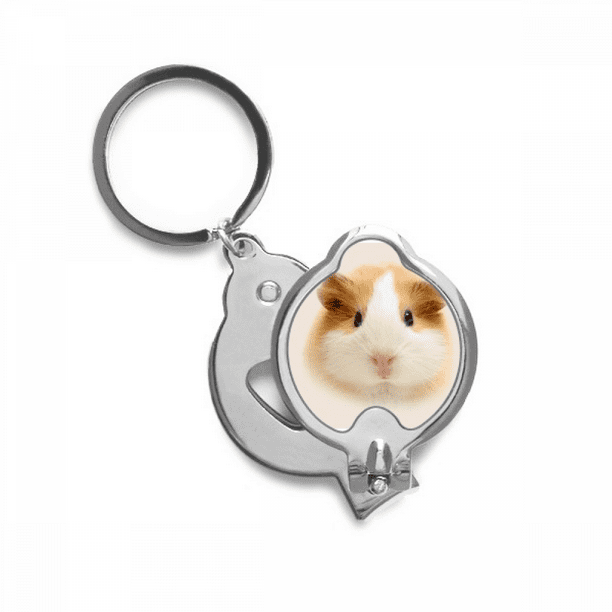 Hamster nail outlet clippers