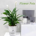 thumbnail image 6 of Balcony Garden Auto Irrigate Office Succulents Garden Supplies Hydroponic Decoration Flower Pots Plant Pot Home Decor Planters 15X18CM WHITE, 6 of 8