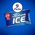 thumbnail image 6 of Dentyne Ice Peppermint Sugar Free Gum, 9 Packs of 16 Pieces (144 Total Pieces), 6 of 21