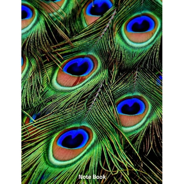 Note Book Peacock Feathers, Notebook, Wide Lined, 200 Paged 7.44 X 9.