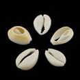 thumbnail image 3 of Natural Mixed Cowrie Shell Beads Cowrie Shells PapayaWhip 16~18x12~13x5~7mm about 470pcs/500g, 3 of 3