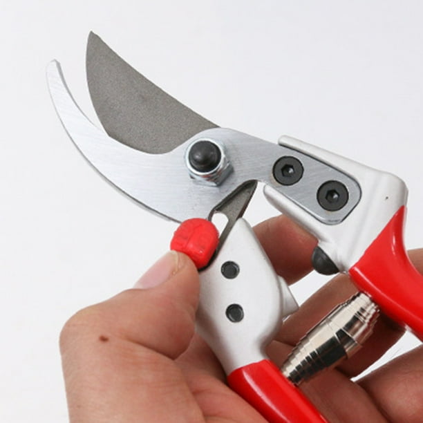 Shrub scissors cheap