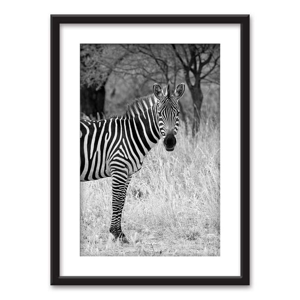 Wall26 Framed Wall Art A Zebra In Black White Black Picture Frames White Matting 23x31 Inches Walmart Com Walmart Com