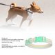 thumbnail image 3 of Collar para mascotas collar de perro cómodo de poliéster para uso diario para perros pequeños y medianos ANGGREK Otros, 3 of 8