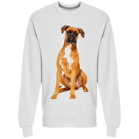 Sticker. Dog Boxer Sweatshirt Men -Image by Shutterstock, Male 3X-Large