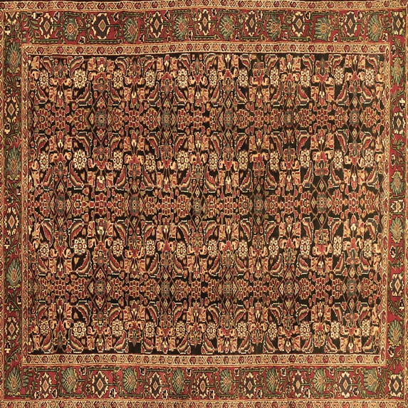 Ahgly Company Indoor Square Persian Brown Traditional Area Rugs, 7' Square