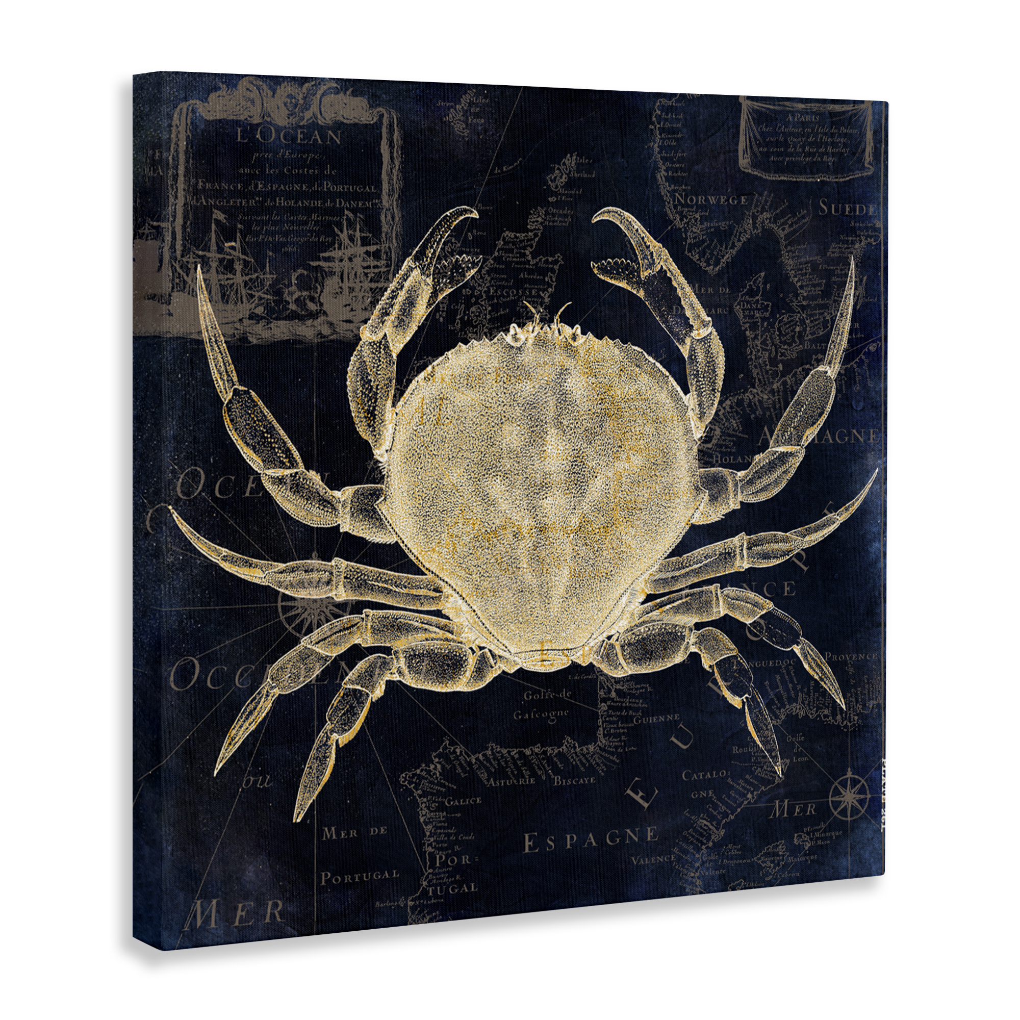 Crab Contour over Map Canvas Wall Art, design by Sasha