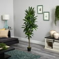thumbnail image 5 of Nearly Natural 6' Dracaena Artificial Plant (Real Touch), Green, 5 of 5