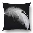 thumbnail image 1 of RYLABLUE Housse de Coussin Plume sur Noir 16x16 Pouces, 1 of 1