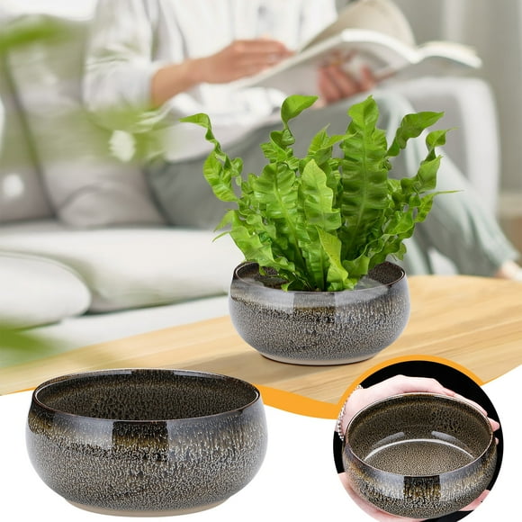 Jarrón, florero, cuenco, maceta, maceta hidropónica para vegetación, maceta de cerámica, artesanía decorativa