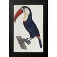 thumbnail image 2 of Levaillant, Francois 10x14 Black Modern Framed Museum Art Print Titled - Toucan, 2 of 5