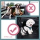 thumbnail image 5 of Cinturón de seguridad doble para perros, cinturón de seguridad doble para mascotas ajustable con elástico elástico y tira reflectante sin enredos divisor de cinturón de seguridad en el vehículo Adepaton LL-2246, 5 of 7