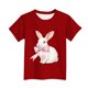 thumbnail image 5 of Camiseta de Manga Corta Crop Top para Niños de Pascua de Manga Corta Impresa con Suave 95% Poliéster 5% Spandex, Cuello Redondo Casual Versátil Top para Niños Diario, 5 of 5