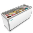 70 in. 12 Tub Ice Cream Dipping Display Freezer with Sliding