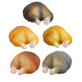 thumbnail image 1 of On Sale Stickers Decorations Decorations Practical Cat Fridge Refrigerator Butt Magnets Magnet Kitchen，Dining & Bar, 1 of 9