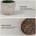 thumbnail image 3 of Pequeñas suculentas artificiales, Juego de 4 plantas suculentas de imitación, decoración para el hogar moderno, mesa, oficina, escritorio, estante de baño, decoración, 3 of 5