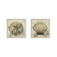 thumbnail image 1 of Great Art Now Sand Dollar & Scallop Shell by Stellar Design Studio, 2 Piece Framed Art Set Each 13.5W x 13.5H, 1 of 3