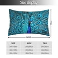 thumbnail image 2 of Honeii Beautiful Blue Peacock Print Pillow Cases,Plush Throw Pillow Covers,Decorative Pillowcase for Sofa, Couch, Living Room-16"x24", 2 of 6