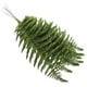 thumbnail image 2 of 10 piezas simulación hojas plantas adorno plantas decorativas plantas falsas adorno verde, 2 of 5