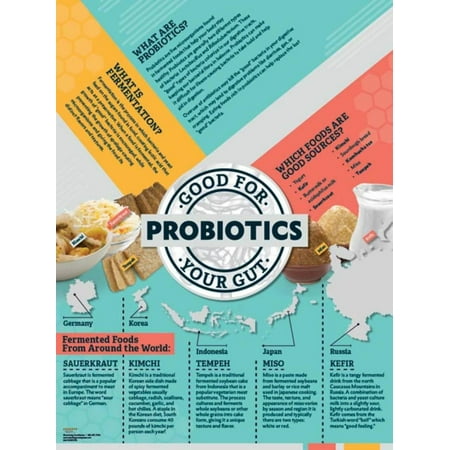 Learning Zone Poster - Probiotics Poster Laminated Poster - 18x24