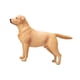 thumbnail image 5 of Figura de perro a escala 1:6, micropaisaje, decoración, figura de acción, accesorios, decoración, de labrador realista, juego de estatuas de animales. sin correa, 5 of 10